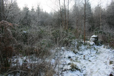 The Rossmore Loop