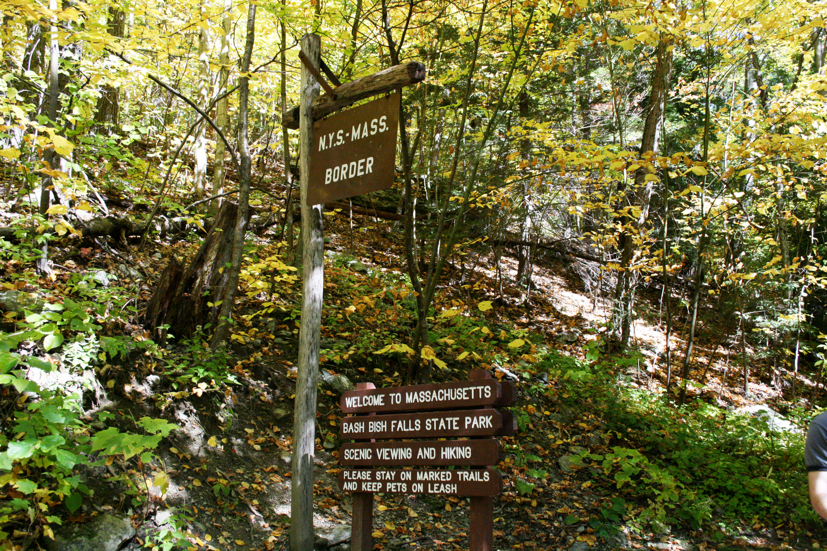 An image depicting the trail Alander Mountain and Brace Mountain via South Taconic Trail and its surrounding area.