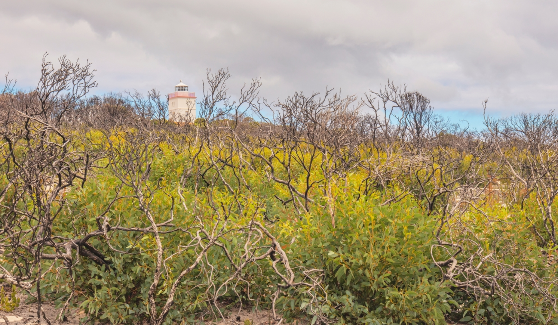 An image depicting the trail Ravine des Casoars return Road Walk and its surrounding area.