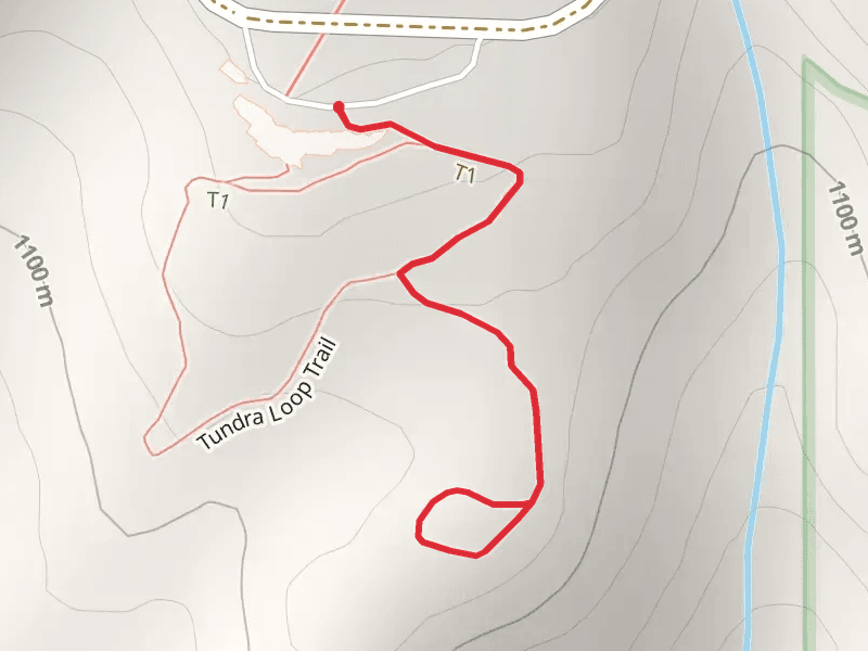 Tundra Spur Trail