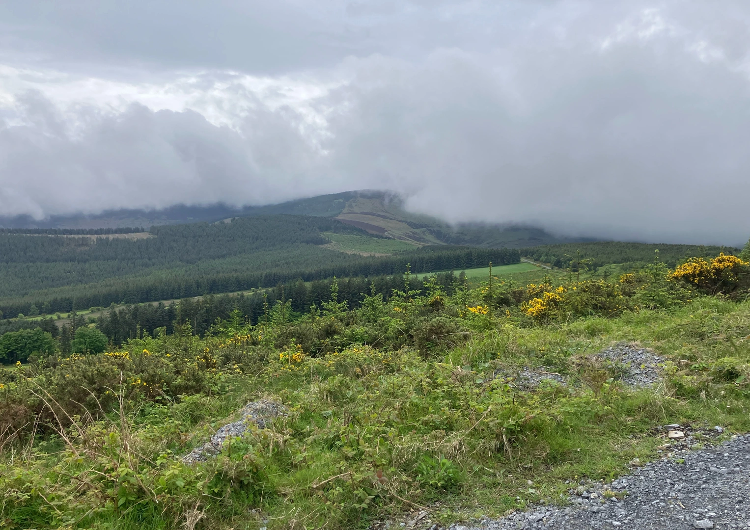 An image depicting the trail Kilbrannish South Loop and its surrounding area.