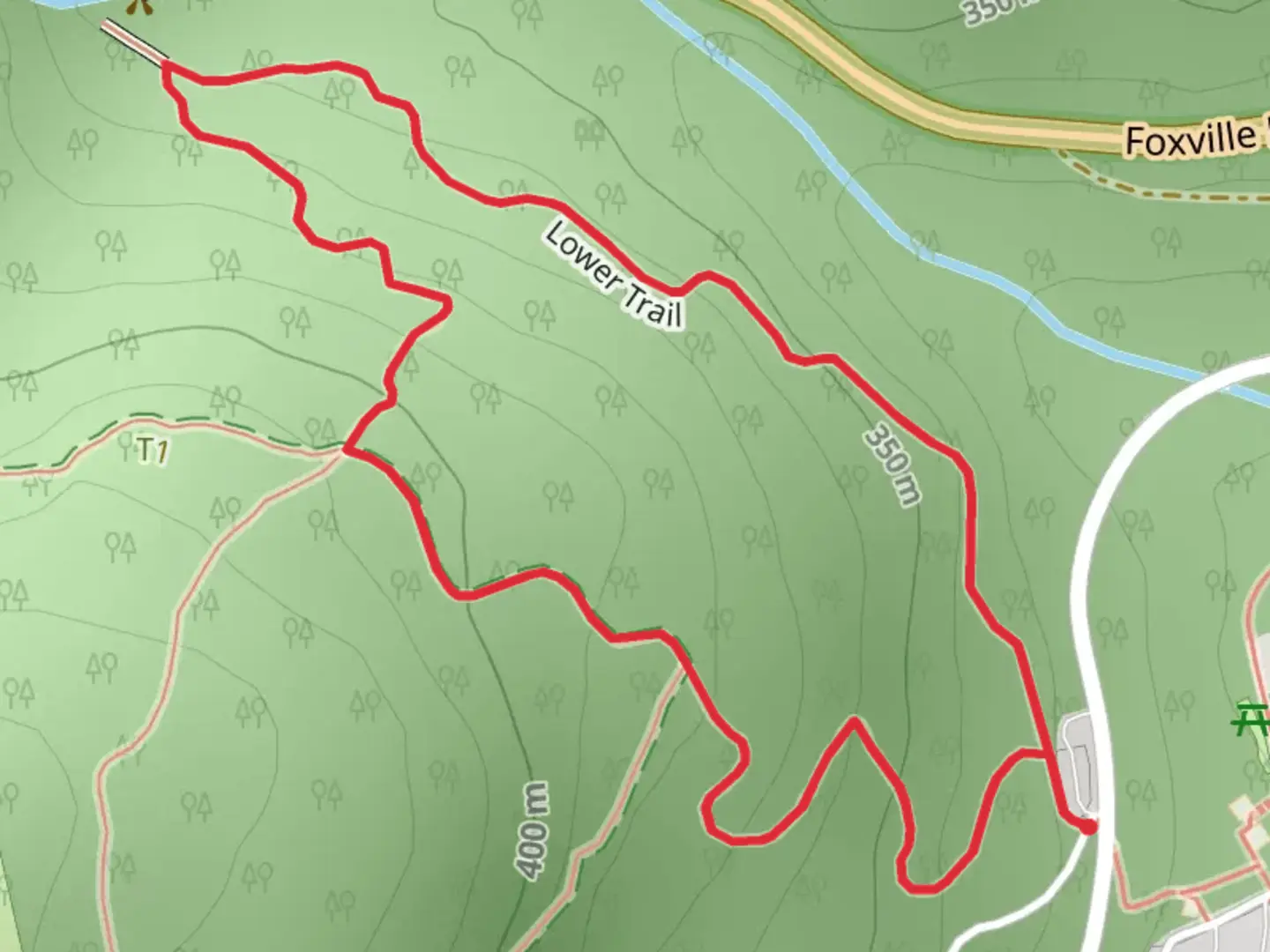 An image depicting the trail Catoctin National Recreation and Lower Loop Trail and its surrounding area.