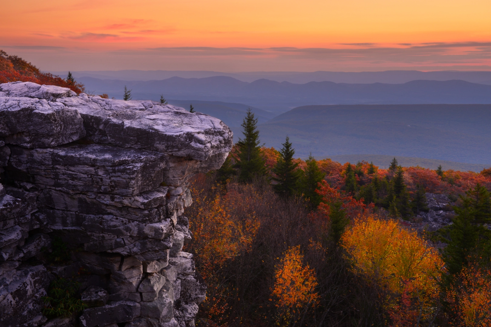 An image depicting the trail Harman Trail and its surrounding area.