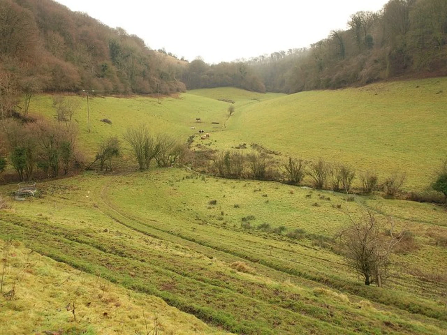 An image depicting the trail Down Hill and Down Wood Loop and its surrounding area.