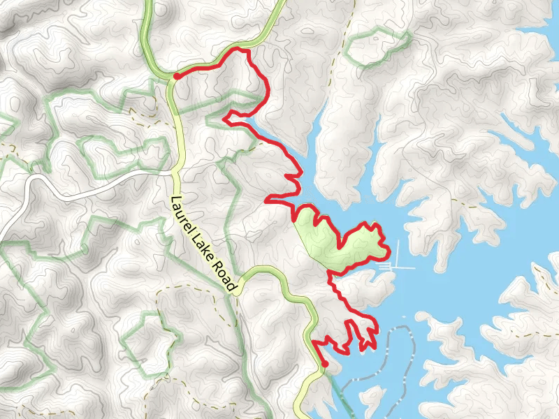 Sheltowee Trace Trail - Holly Bay