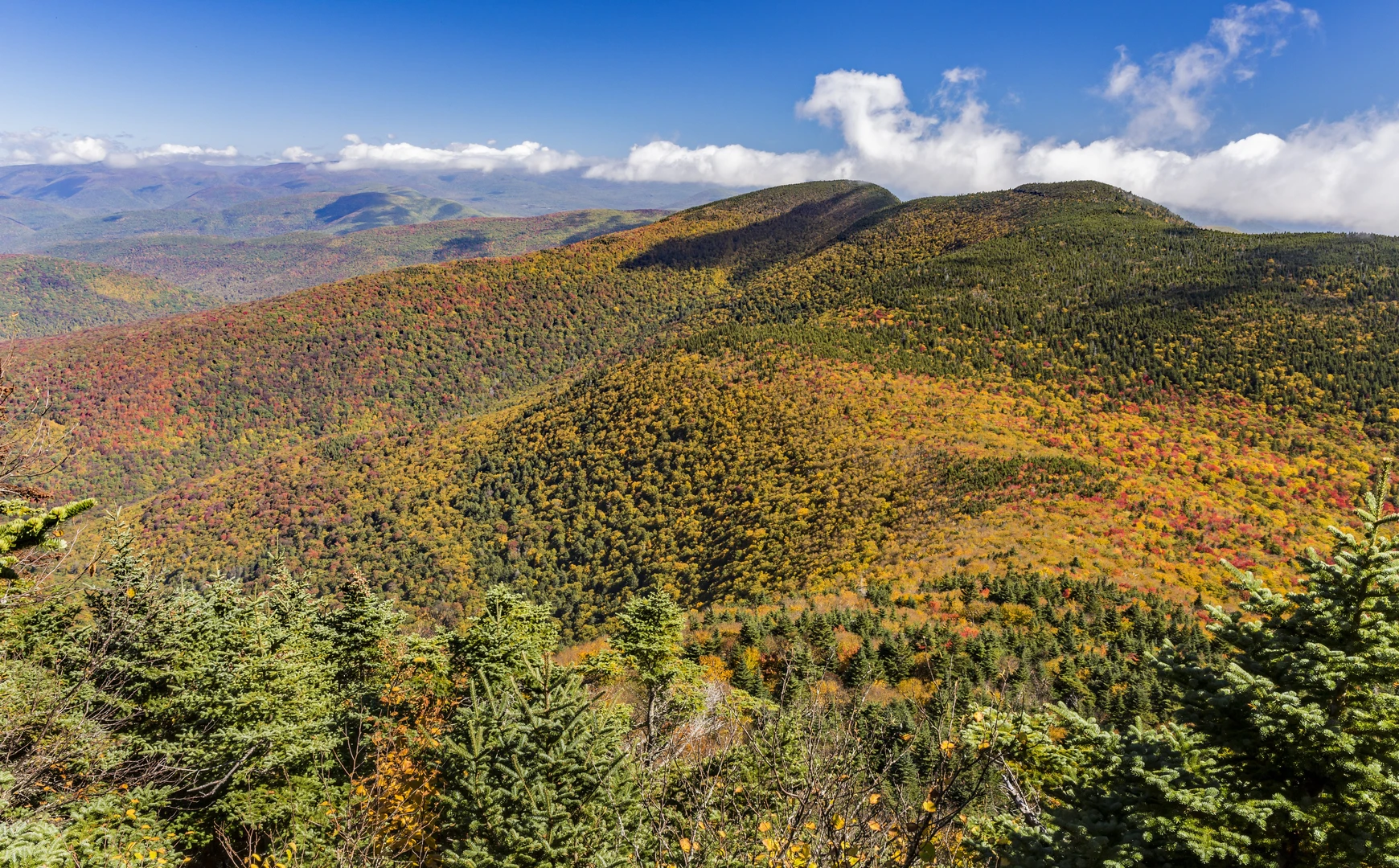 An image depicting the trail Wittenberg Mountain via Wittenberg - Cornell - Slide Trail and its surrounding area.