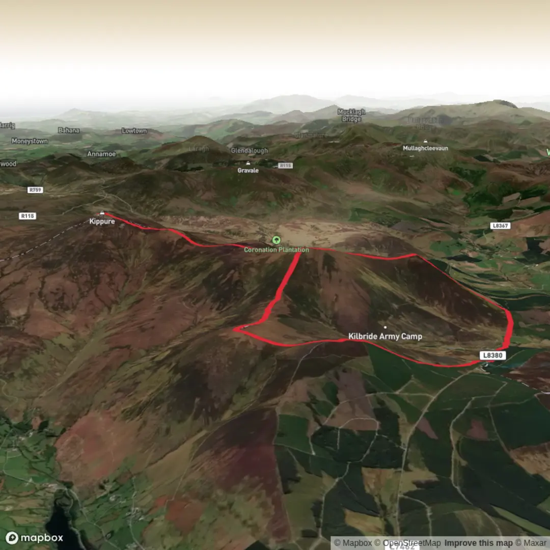 An image depicting the trail Seefin and Kippire Loop and its surrounding area.