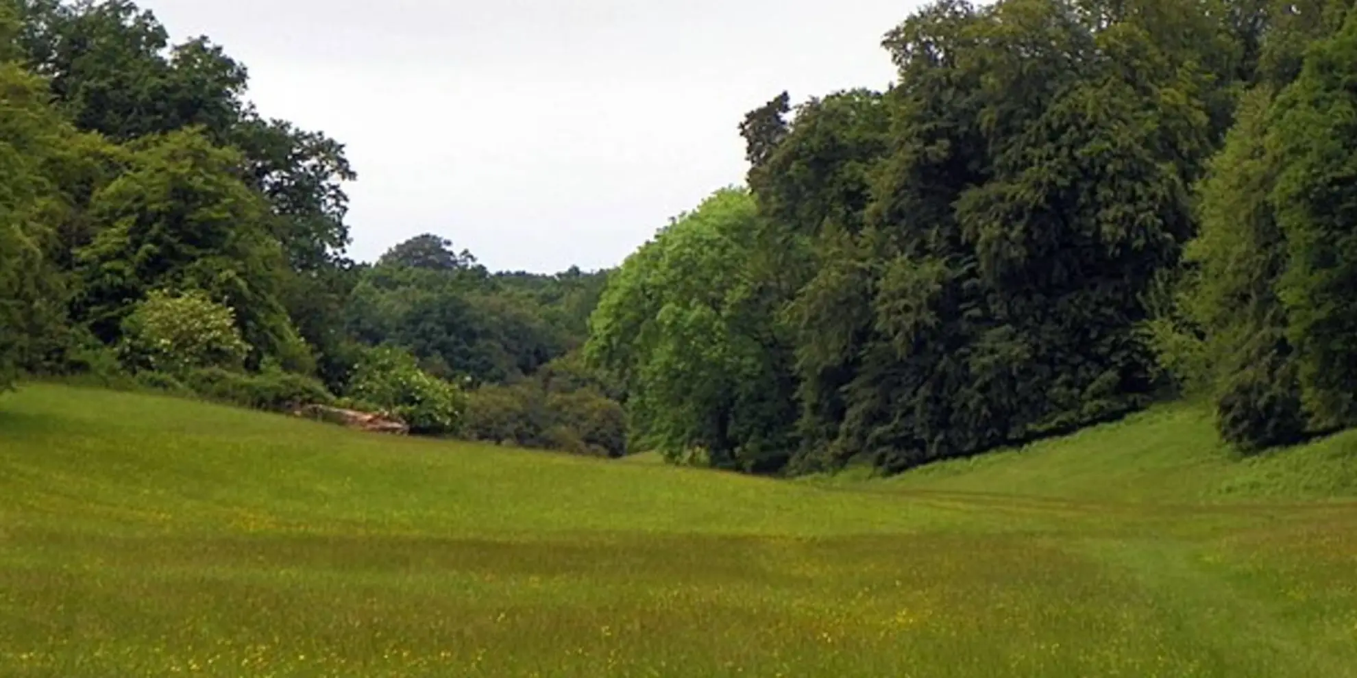 An image depicting the trail Battle of Berkhamsted Common Trail and its surrounding area.