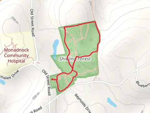 Shieling Forest Loop Trail