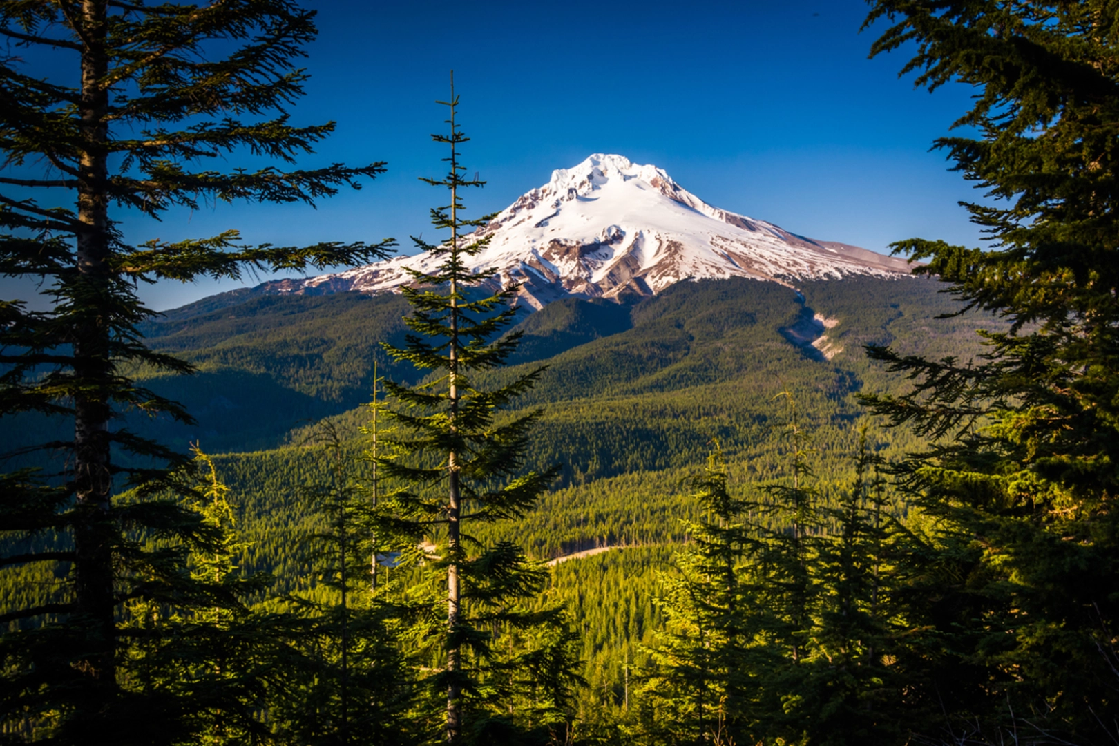 An image depicting the trail Tom Dick and Harry Mountain via Mirror Trail and its surrounding area.