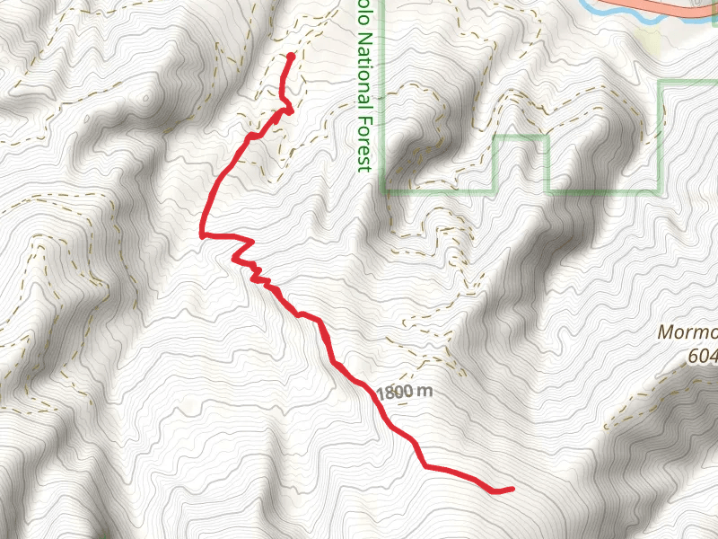 Mill Creek Trail Out and Back