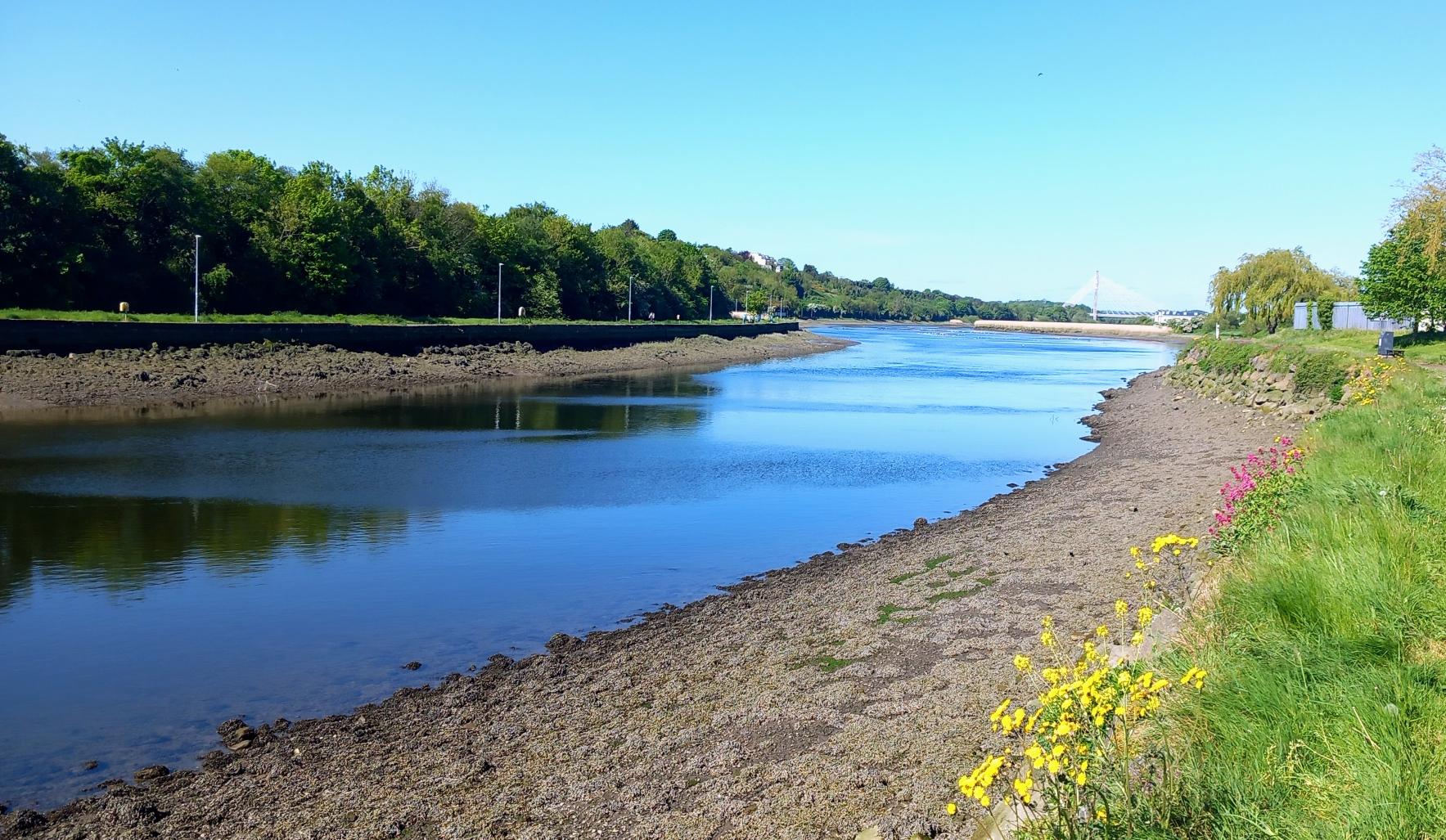 A map preview of the recording Boyne Valley Camino – 25km Loop from Drogheda.