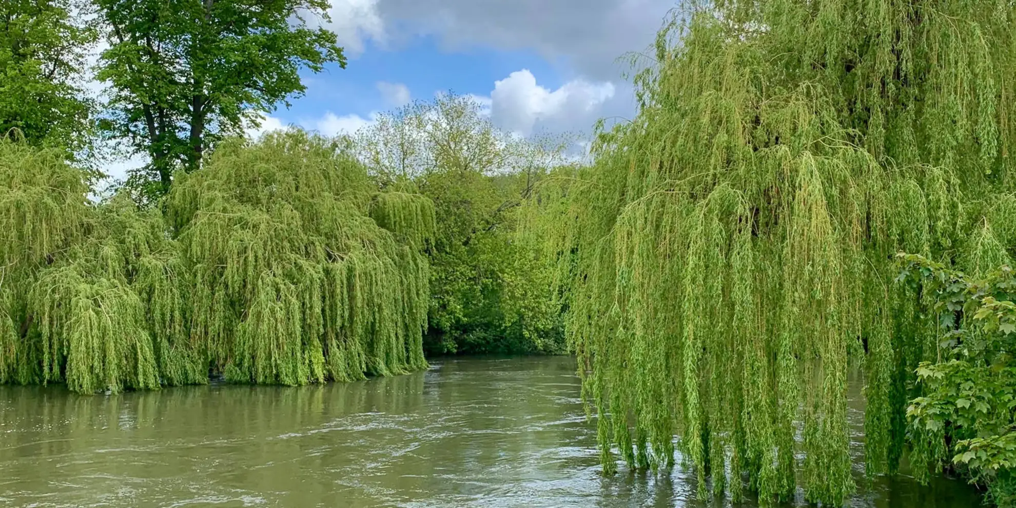 An image depicting the trail Sonning Eye and Shiplake and its surrounding area.