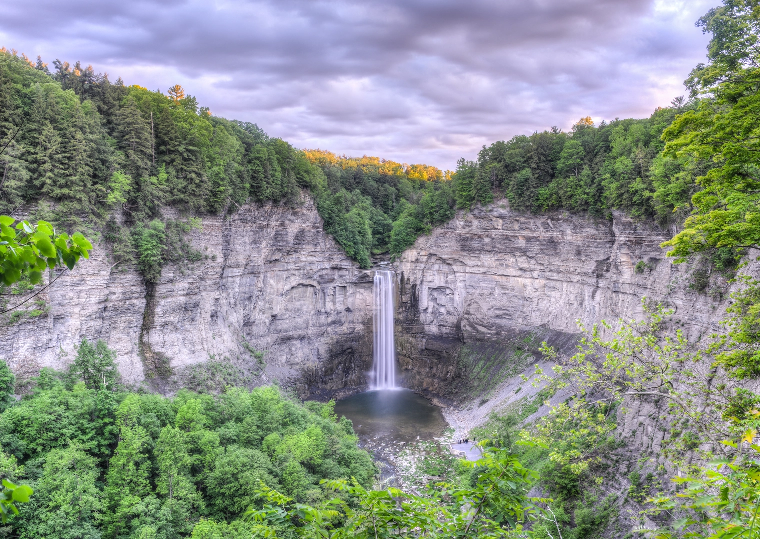 An image depicting the trail Finger Lakes Trail - New York and its surrounding area.