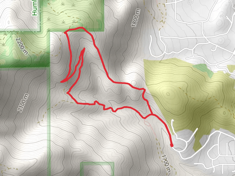 Timberline Drive Loop
