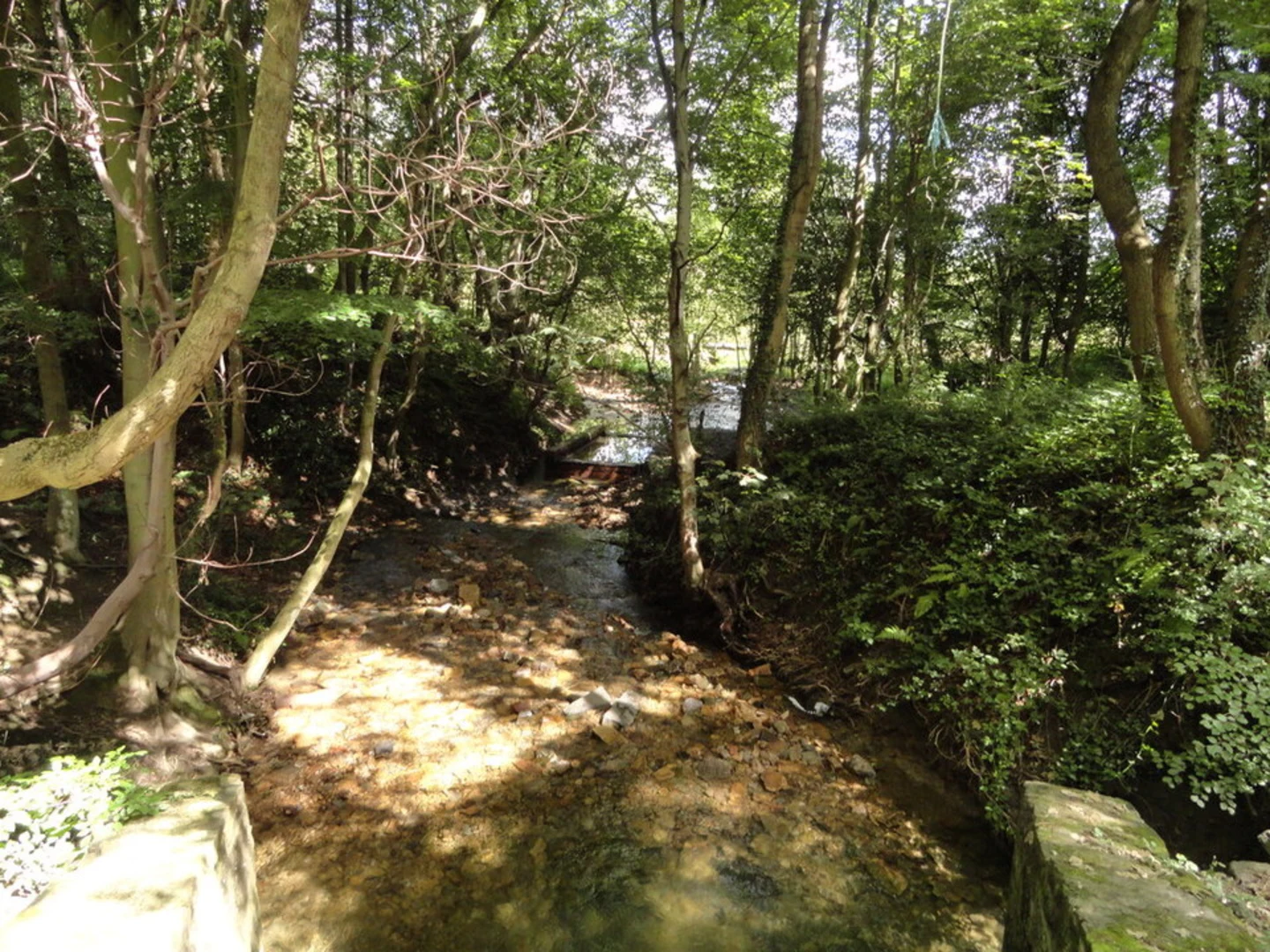 An image depicting the trail Watergate Forest Park Loop and its surrounding area.