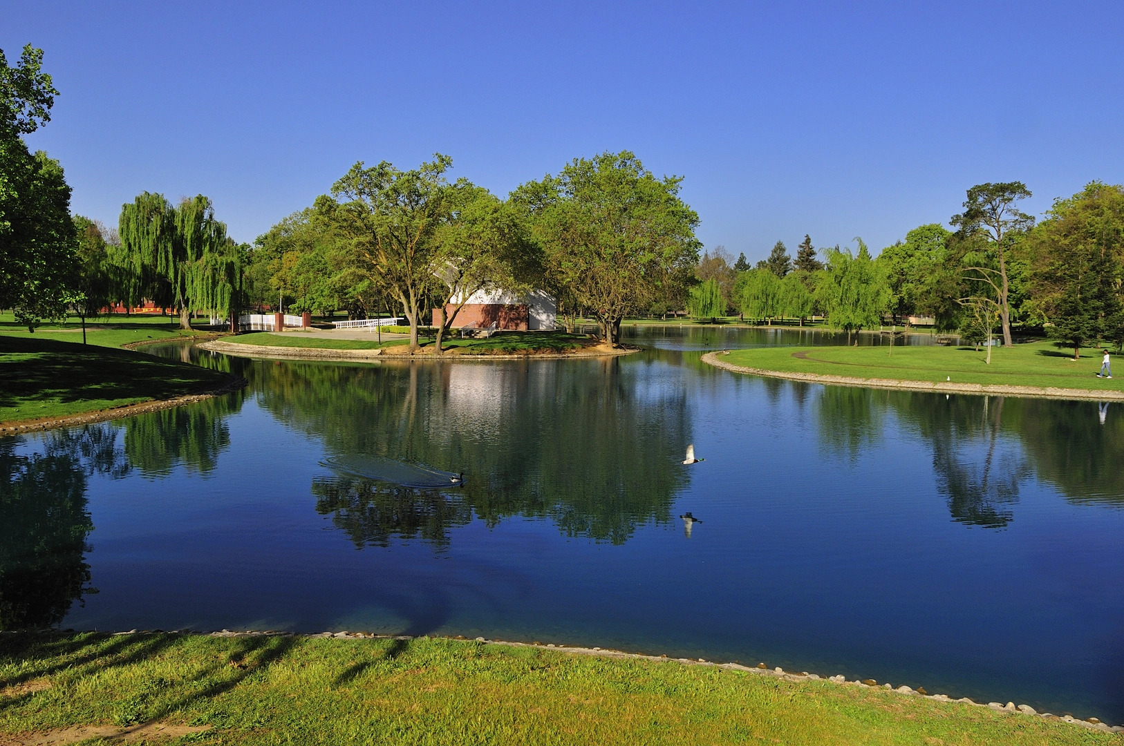 An image depicting the trail Elk Grove County Park Loop and its surrounding area.