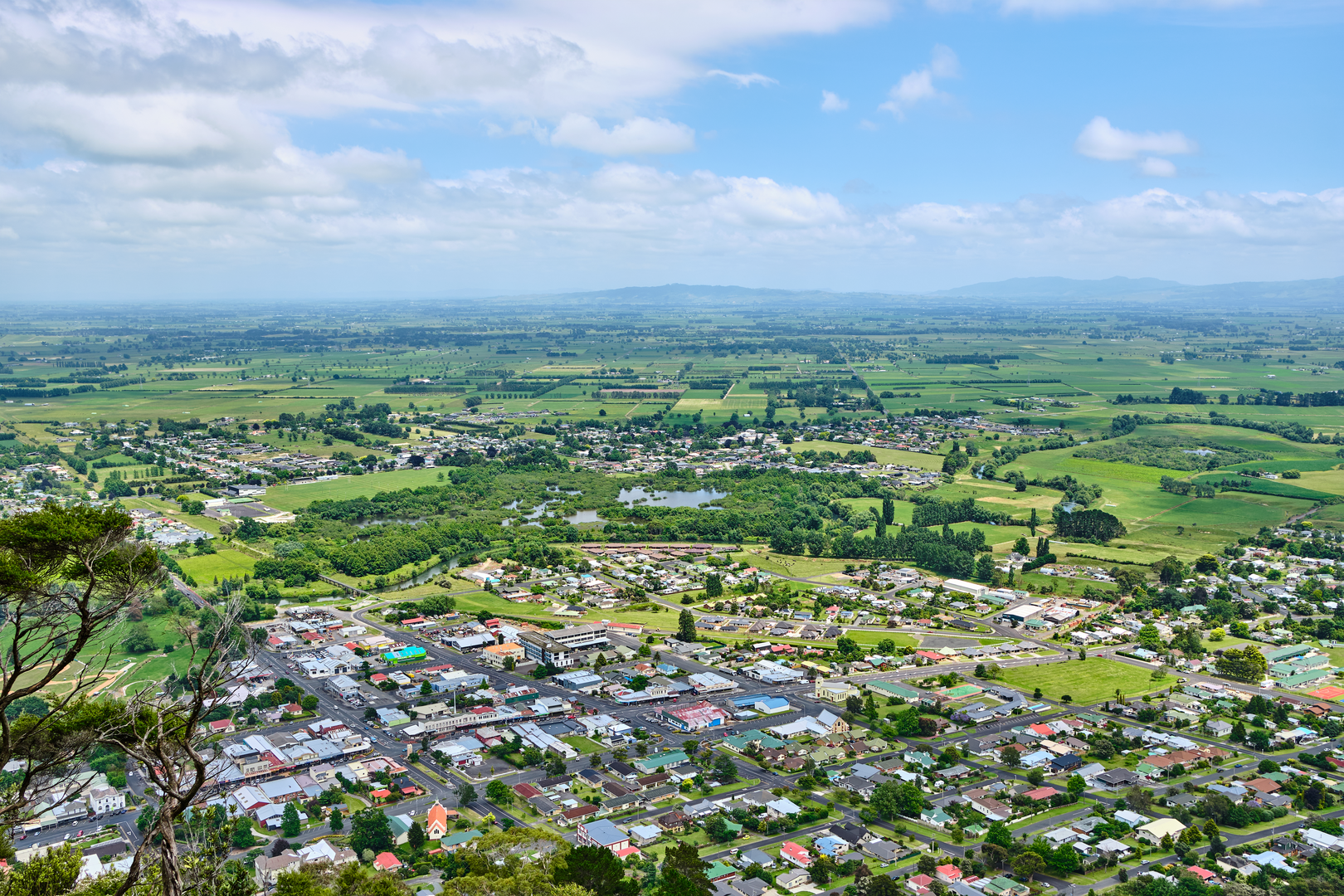 An image depicting the trail Howarth Memorial Wetlands and its surrounding area.