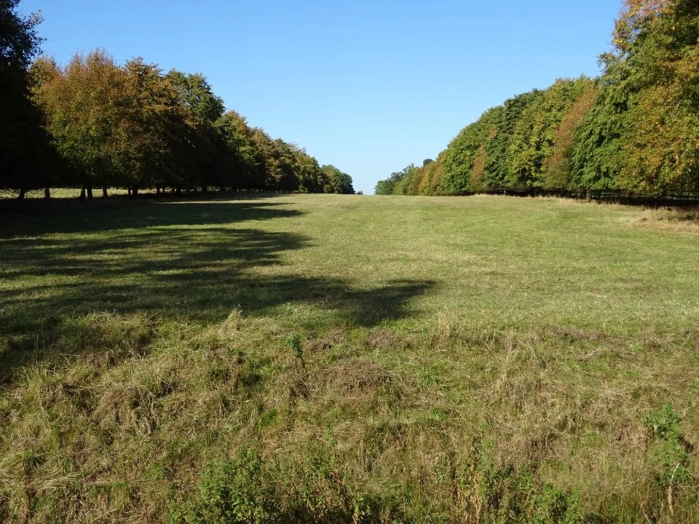 An image depicting the trail Corsham to Colerne Peacock Trail and its surrounding area.