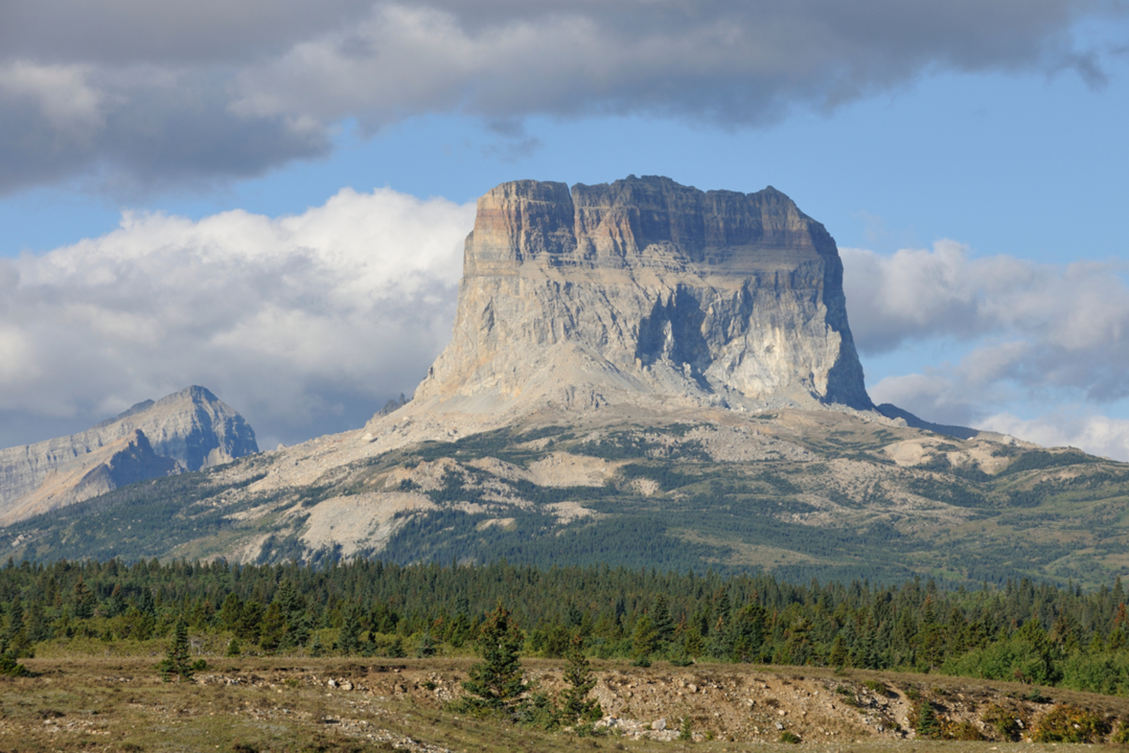 An image depicting the trail Lee Ridge Trail and its surrounding area.