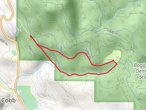 Creek Trail Loop