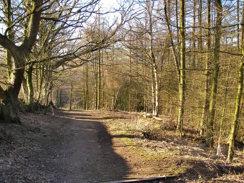 Etherow Country Park and Ernocroft Wood