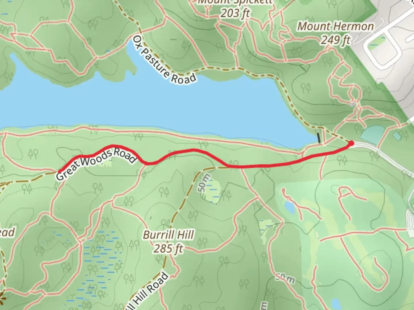 An image depicting the trail Walden Pond from Ox Pasture Road and its surrounding area.