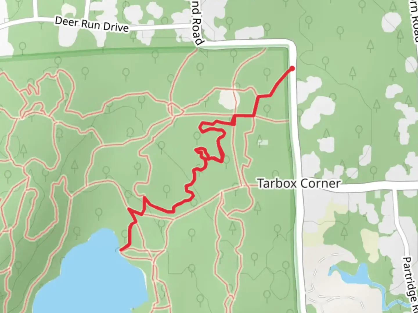 An image depicting the trail Carr's Pond and its surrounding area.