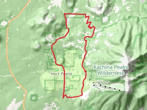 Fern Mountain - Arizona Loop Trail