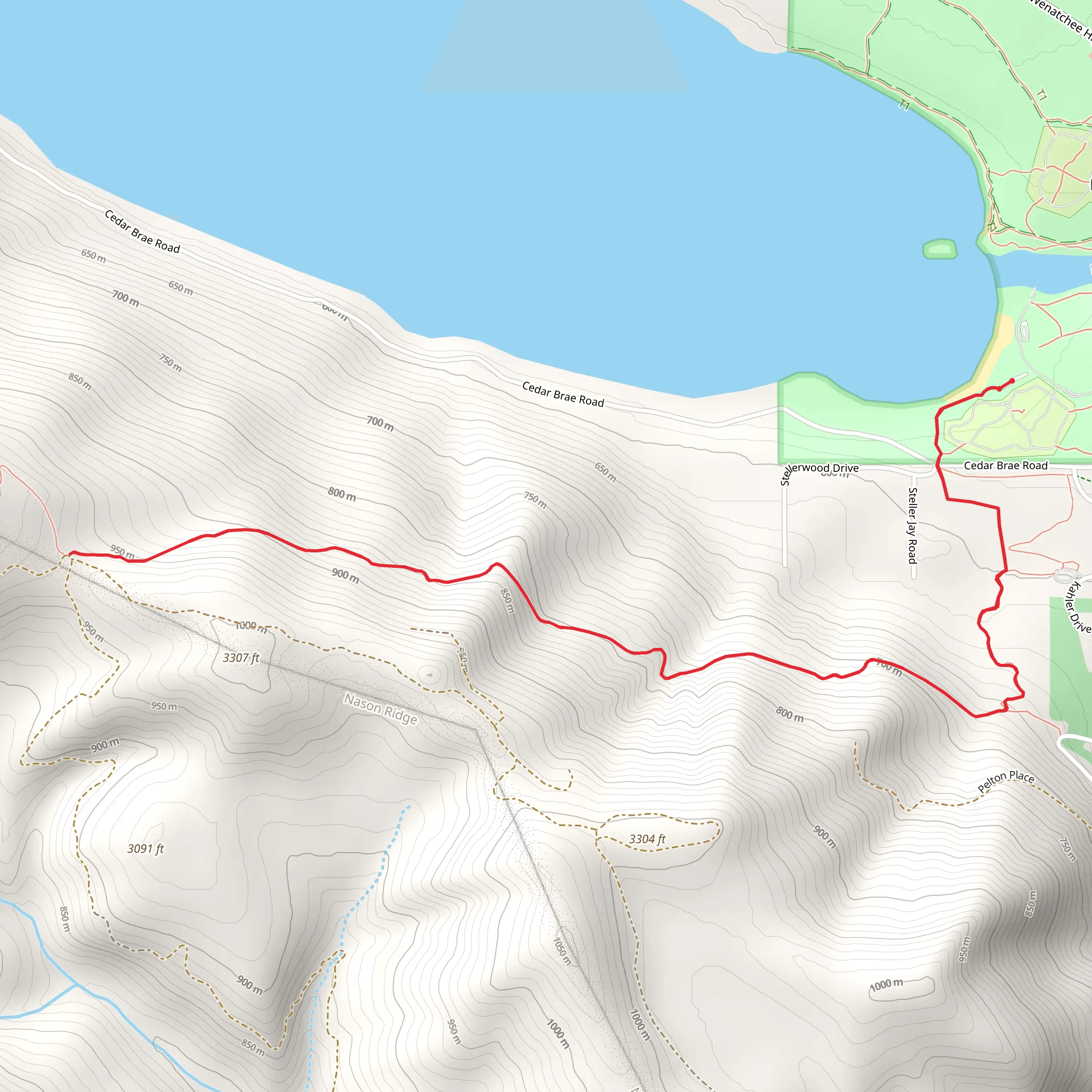 Nason Ridge Trail via South Snowshoe Loop mobile static map