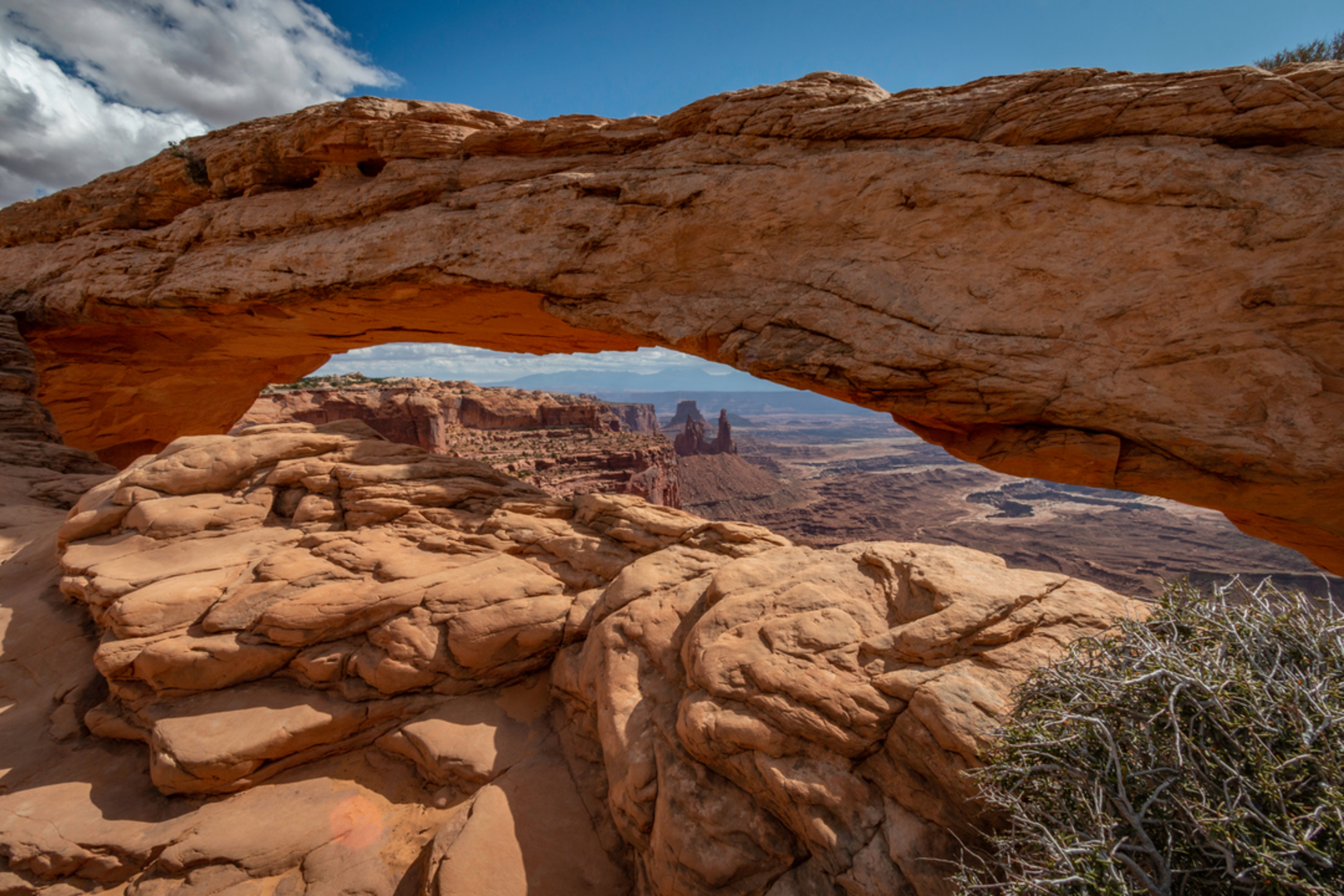 An image depicting the trail Mesa Arch Trail and its surrounding area.