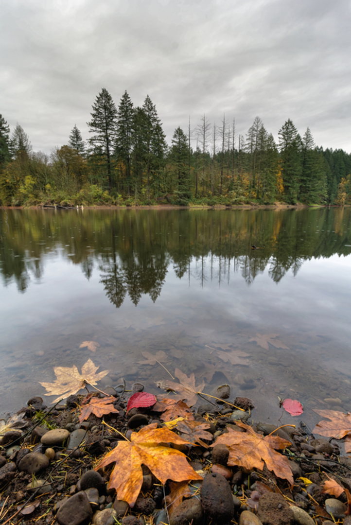 An image depicting the trail Round Lake Trail and its surrounding area.