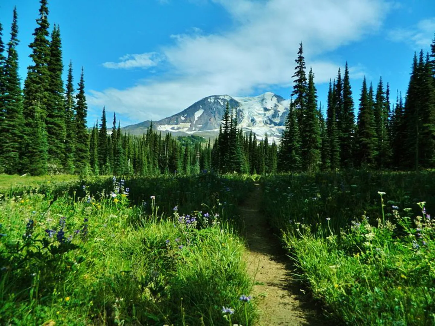 An image depicting the trail Divide Camp Trail and its surrounding area.