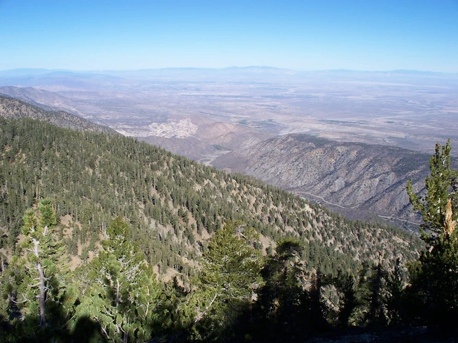 Manzanita, Vincent Gap, Pacific Crest and South Fork Loop Trail