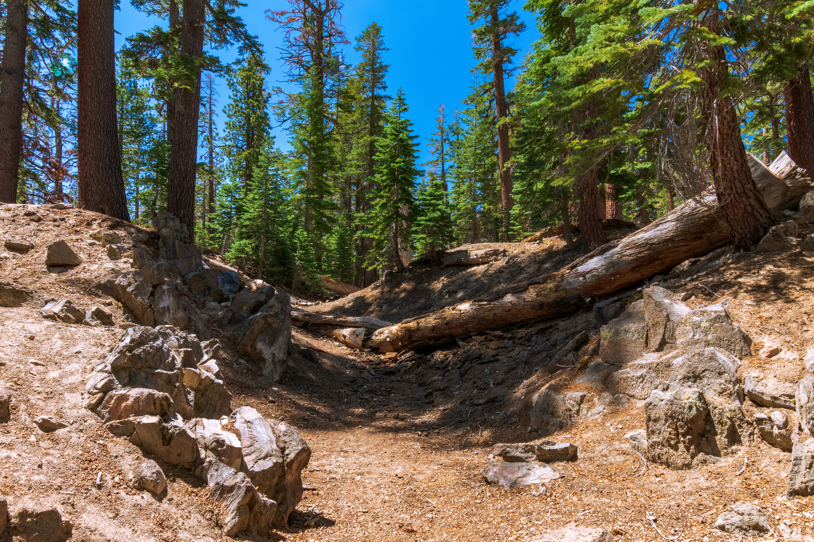 An image depicting the trail Earthquake Fault Overlook Loop and its surrounding area.