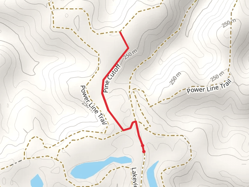 Pine Cutoff Trail
