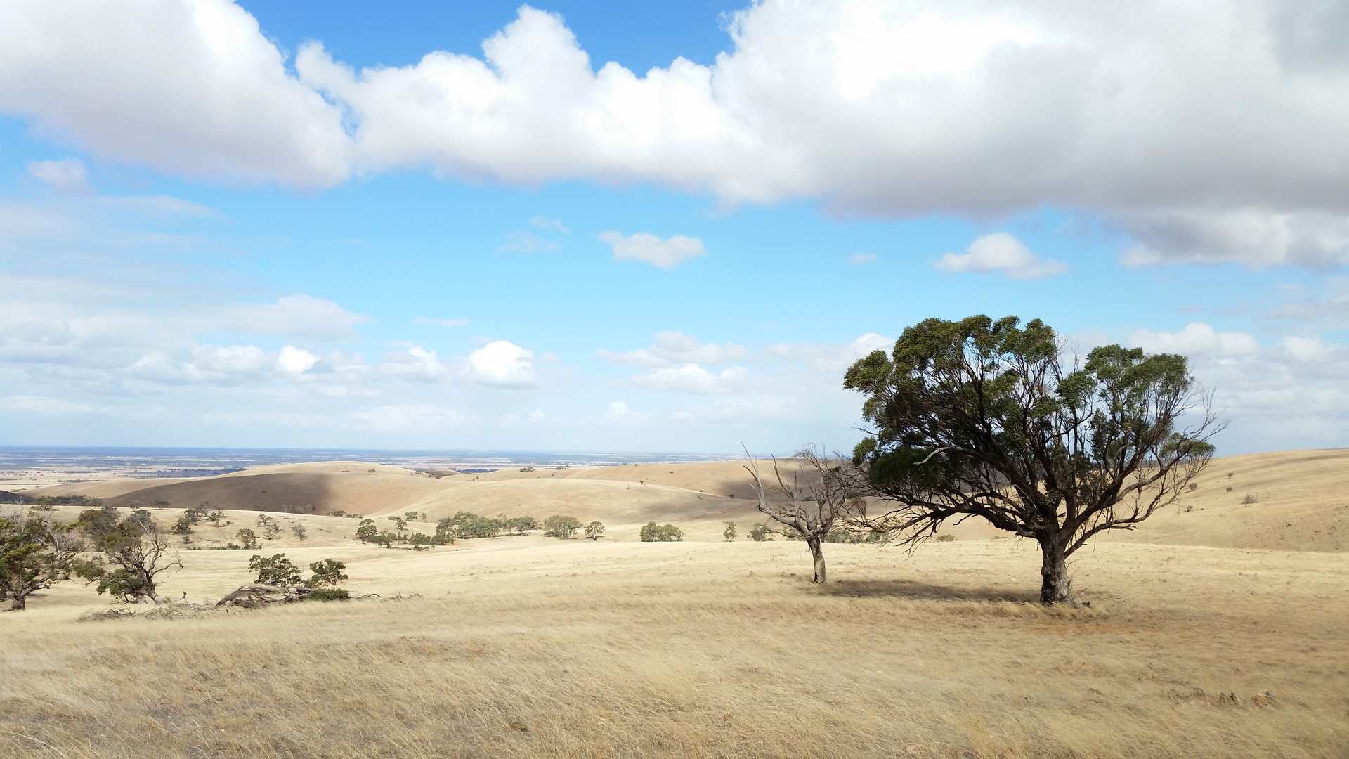 An image depicting the trail Kidman Trail and its surrounding area.