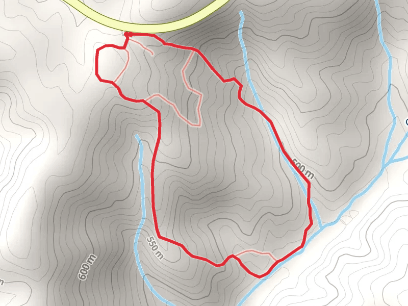Burnt Mountain Champion Trail