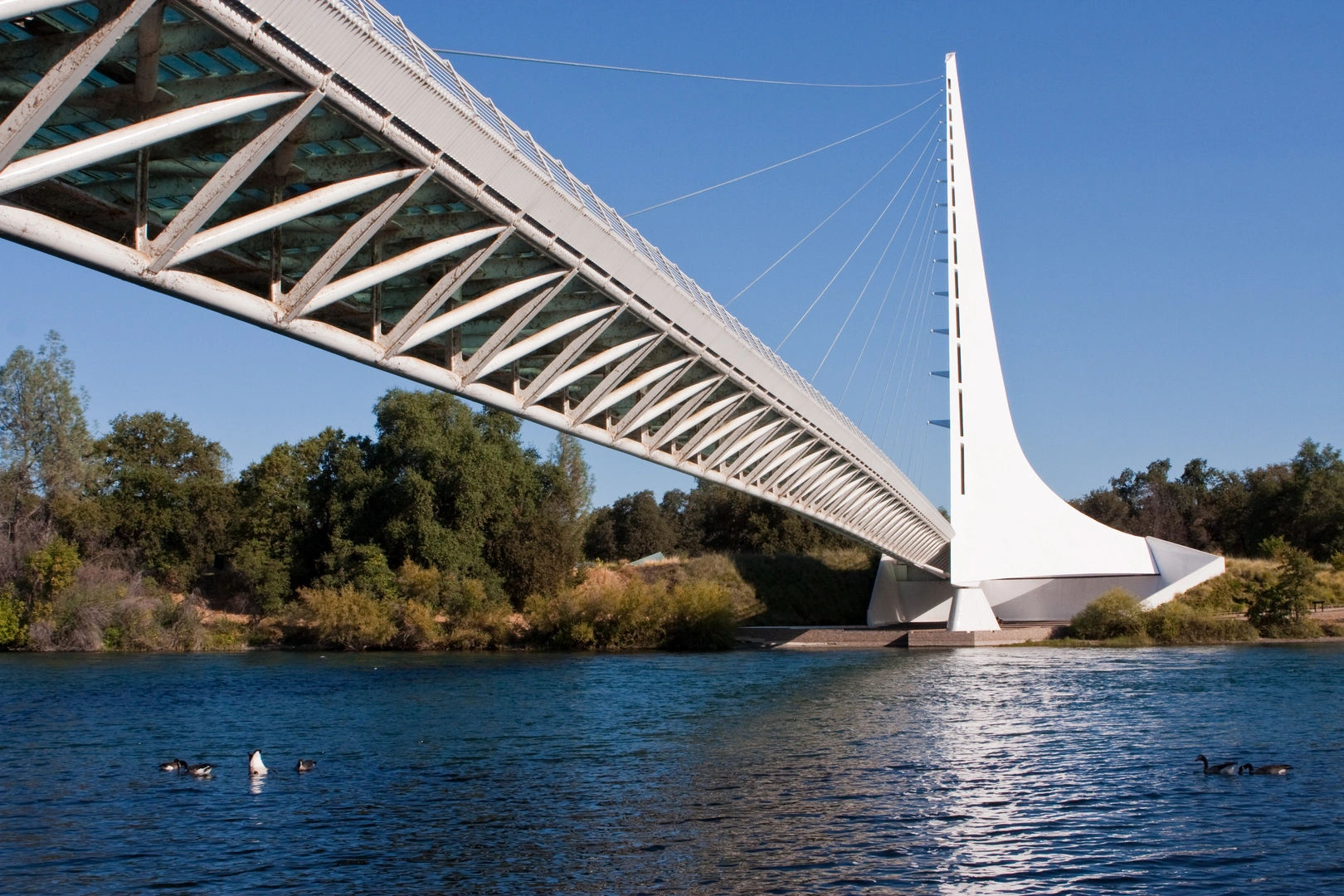 An image depicting the trail Sacramento River Trail Out and Back and its surrounding area.