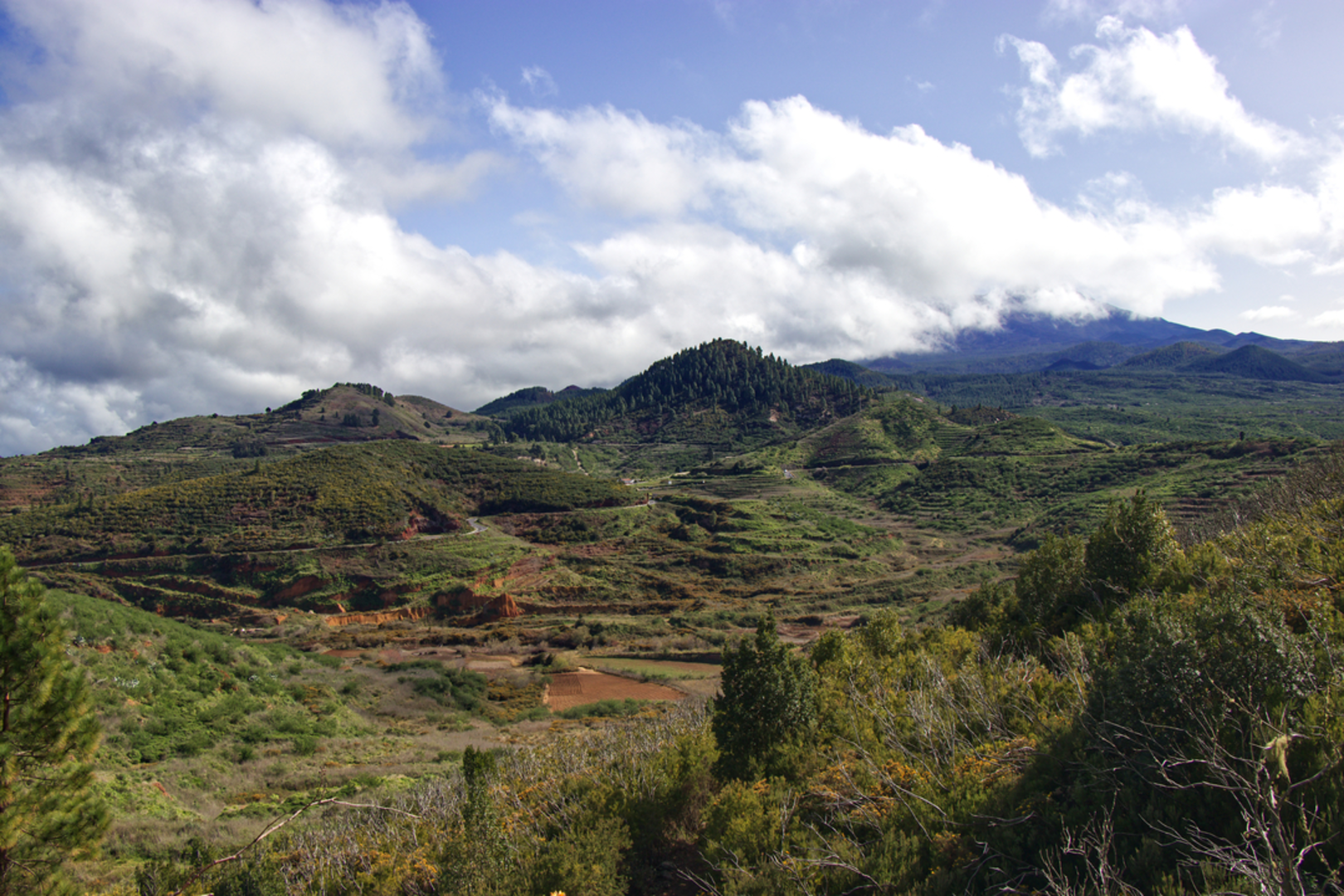 An image depicting the trail Los Silos - Las Moradas - Monte del Agua PR TF 54 and its surrounding area.