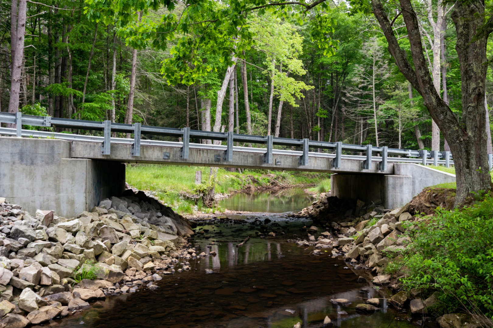 An image depicting the trail Beaver Creek Trail and its surrounding area.