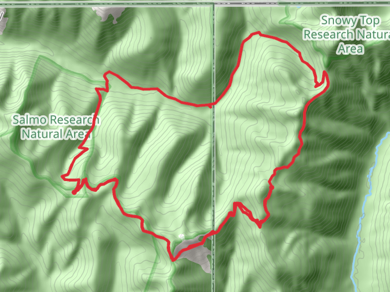 Salmo Basin and Shedroof Divide Loop Trail