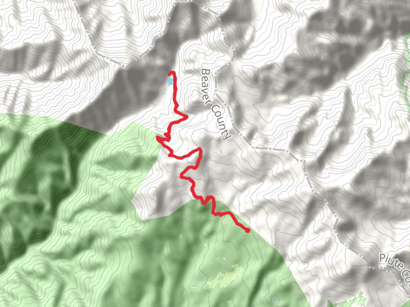 Blue Lake Trail