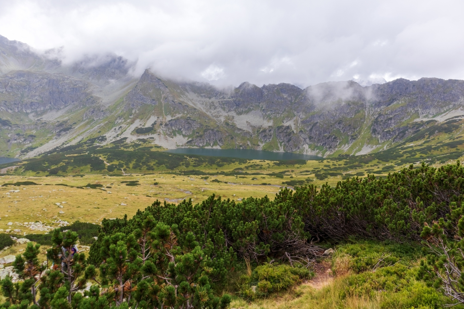 An image depicting the trail Glacier Creek Trail and its surrounding area.