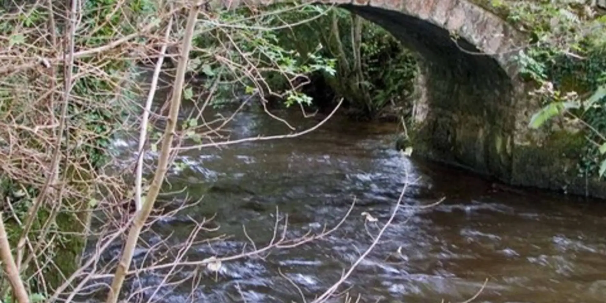 An image depicting the trail Nature's Autumn Harvest Walk at Parke and its surrounding area.
