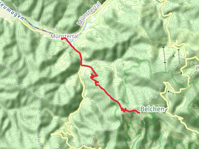 Belchen Hike