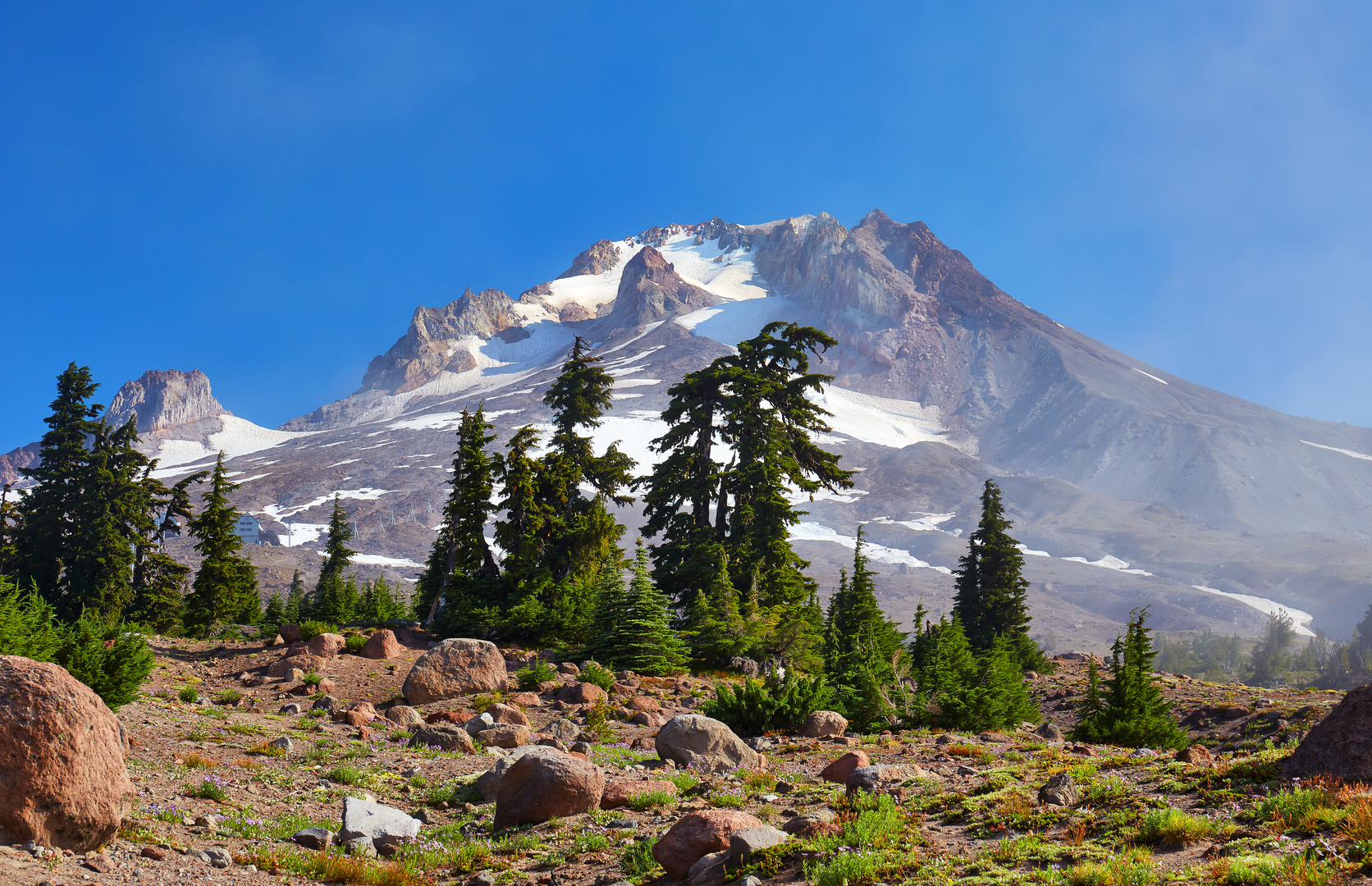 An image depicting the trail Timberline Trail Loop and its surrounding area.