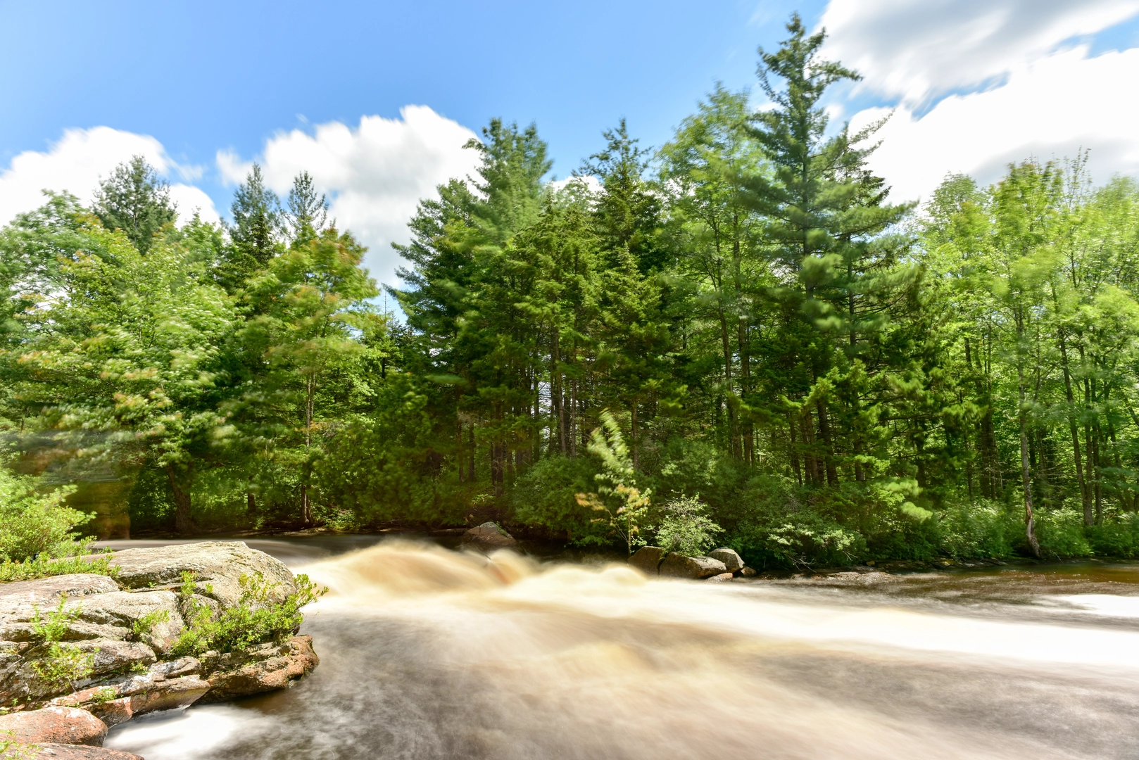 An image depicting the trail Cranberry Lake 50 and its surrounding area.