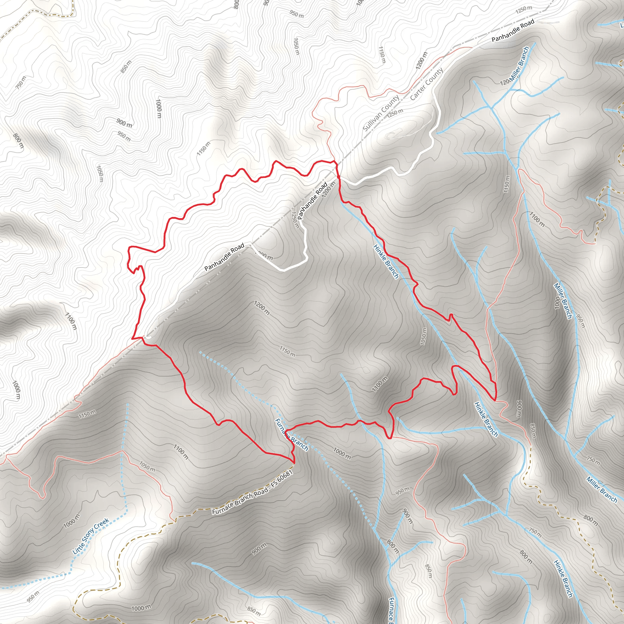 Holston Mountain West Trail, Rye Patch Trail and Low Gap Trail Loop mobile static map