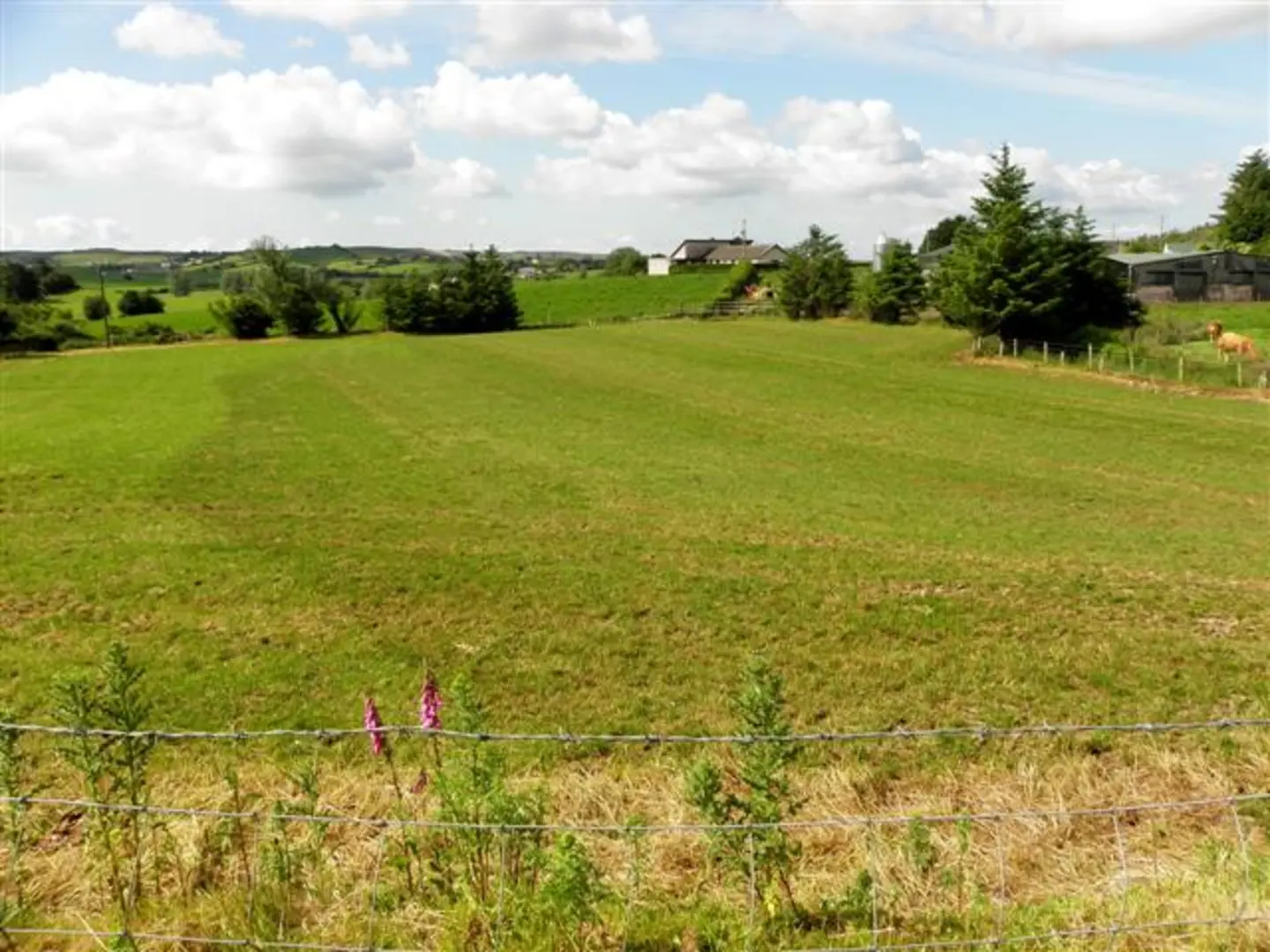 An image depicting the trail Dunnamore Riverside Walk and its surrounding area.